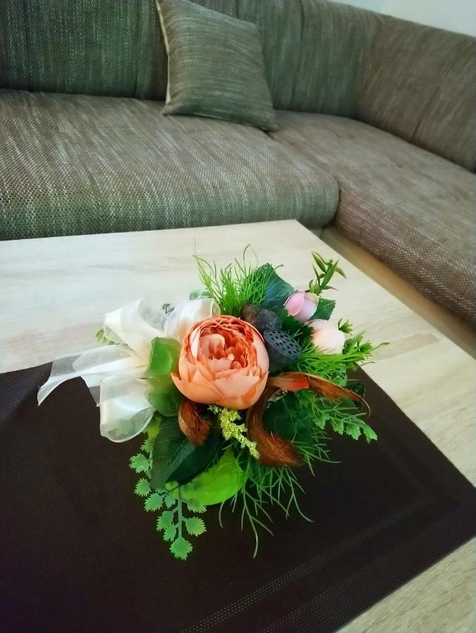 אוטוצאץ Apartman Danijela מראה חיצוני תמונה